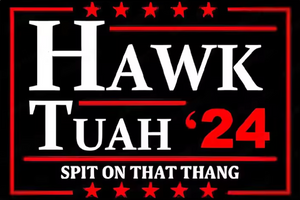 Hawk Tuah ‘24 Sticker